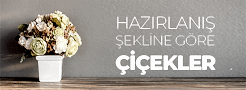 KATEGORİLER